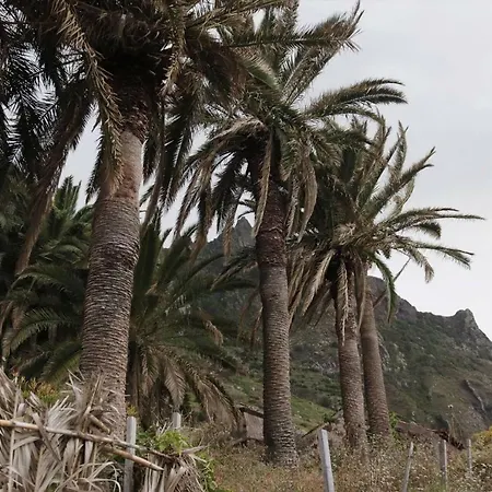 Oasis Atlántico: Rincón Secreto Al Pie De Senderos Casa de Férias *