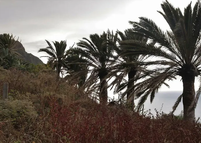 Oasis Atlantico: Rincon Secreto Al Pie De Senderos Azano