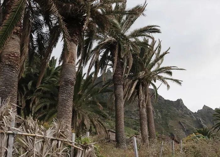 Oasis Atlantico: Rincon Secreto Al Pie De Senderos Ferienhaus *